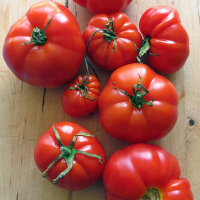 Delicious Heirloom Beefsteak Tomatoes - Seed kit