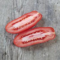 Tomato San Marzano (Solanum lycopersicum) organic seeds