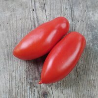 Tomato San Marzano (Solanum lycopersicum) organic