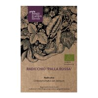 Radicchio Palla Rossa (Cichorium intybus var. foliosum) organic seeds