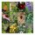 Butterfly Garden - Seed kit