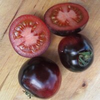Tomato Indigo Rose (Solanum lycopersicum)