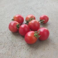 Tomato Gartenperle (Solanum lycopersicum) seeds