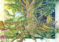 Good Companion Plants: Root Chervil & Radicchio / Chicory - Seed kit
