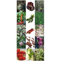 Italian Vegetable Rarities - Seed kit