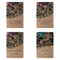 Artichoke, Florence Fennel, Lettuce & Sage - Seed kit