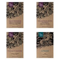 Good Companion Plants: Artichoke, Florence Fennel,...