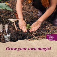 Colourful Radishes All Year Round - Seed kit