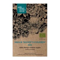 Dahlia Bishops Children (Dahlia variabilis) organic seeds