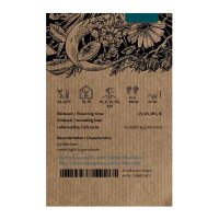 Feverfew / Bachelors Buttons (Tanacetum parthenium) organic seeds