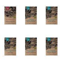 Colourful Nectar Plants (Organic) - Seed kit gift box