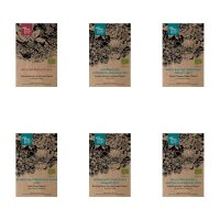 Insect-Friendly Colourful Flowers (Organic) - Seed kit gift box