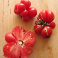 Voyage Tomato (Solanum lycopersicum) organic seeds
