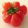 Voyage Tomato (Solanum lycopersicum) organic seeds