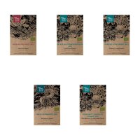 Wildflowers for the Prairie Garden (Organic) - Seed Kit Gift Box