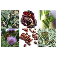 Old Italian Vegetables  (Organic) - Seed kit gift box