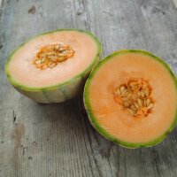 Cantaloupe Melon Retato Degli Ortolani (Cucumis melo) organic seeds