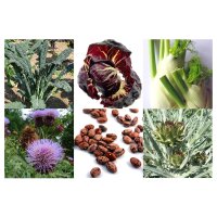 Old Italian Vegetables  (Organic) - Seed kit
