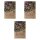 Winter Vegetable Plants (Organic) - Seed kit