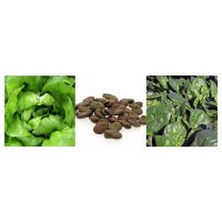 Early Birds Vegetables (Organic) - Seed kit