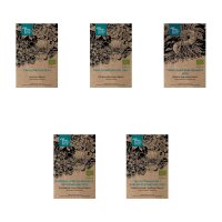 Colourful Summer Flowers (Organic) - Seed kit