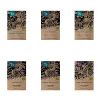 The Wild Garden Corner  (Organic) - Seed kit gift box