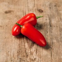 Jalapeño Pepper (Capsicum anuum) organic seeds