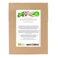Berry Snack Garden (Organic) - Seed kit