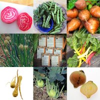 Medium Feeder Vegetables For A Raised Bed (Organic) - Seed kit gift box