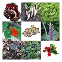 Light Feeder Vegetables For A Raised Bed (Organic) - Seed kit gift box