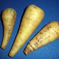 Colourful Carrot Mix (Organic)