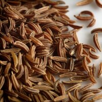 Caraway (Carum carvi) organic seeds