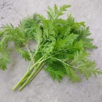 Qing Hao / Sweet Wormwood (Artemisia annua) organic seeds