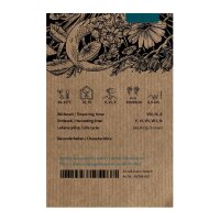 Qing Hao / Sweet Wormwood (Artemisia annua) organic seeds