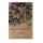 Land Cress (Barbarea verna) organic seeds