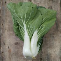 Bok Choy / Pak Choi Tai Sai (Brassica rapa subsp....