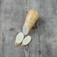 Parsnip Tender and True (Pastinaca sativa) organic seeds