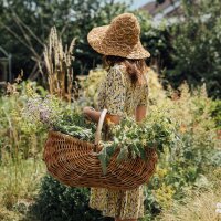 Magical Time – Organic seed Advent Calendar – Wondrous World of Herbs