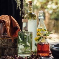 Magical Time – Organic seed Advent Calendar – Wondrous World of Herbs