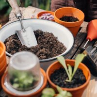 Magical Time – Organic seed Advent Calendar – Your Garden in the City