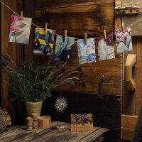 Magical Time – Organic seed Advent Calendar – Your Garden in the City