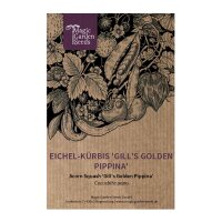 Acorn Squash Gills Golden Pippina (Cucurbita pepo) seeds