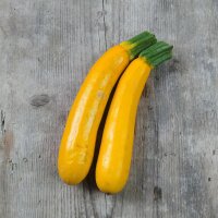 Yellow Zucchini Goldena (Cucurbita pepo) seeds