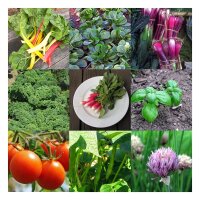 Beginners Vegetables for the Raised Bed (Organic) - Seed Gift Set