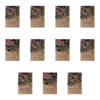Raised Bed Vegetables for Beginners (Organic) - Seed Gift Set
