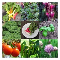 Raised Bed Vegetables for Beginners (Organic) - Seed Gift Set