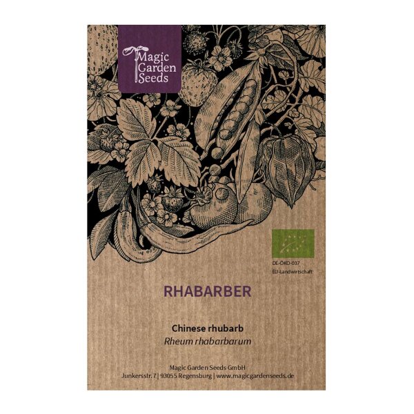 La Rhubarbe Indienne, Ou Plante Ombrelle (Darmera Peltata, Peltiphyllum - Foto 10