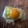 Cape Gooseberry  (Physalis peruviana) organic seeds