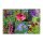 A Sea Of Blossoms (Organic) - Seed kit